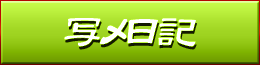 写メ日記