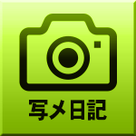 写メ日記